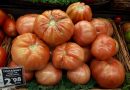 Barbastro convierte el Tomate Rosa en protagonista de una gran jornada popular