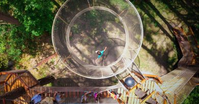 El Parque de Aventura El Juncaral estrena «El Nido»